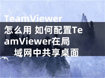 TeamViewer怎么用 如何配置TeamViewer在局域网中共享桌面 