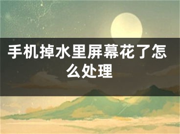 手机掉水里屏幕花了怎么处理