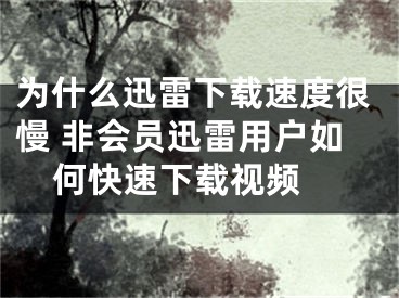 为什么迅雷下载速度很慢 非会员迅雷用户如何快速下载视频 