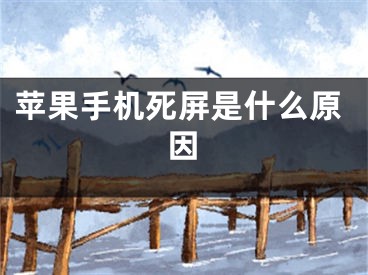 苹果手机死屏是什么原因