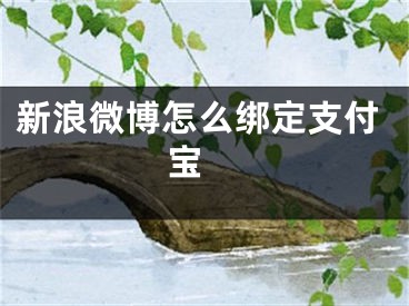 新浪微博怎么绑定支付宝 