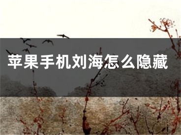 苹果手机刘海怎么隐藏