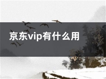 京东vip有什么用