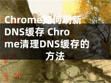 Chrome如何刷新DNS缓存 Chrome清理DNS缓存的方法