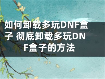 如何卸载多玩DNF盒子 彻底卸载多玩DNF盒子的方法