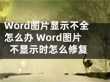 Word图片显示不全怎么办 Word图片不显示时怎么修复 