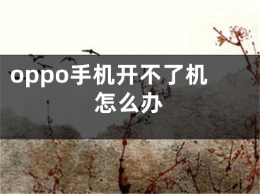 oppo手机开不了机怎么办