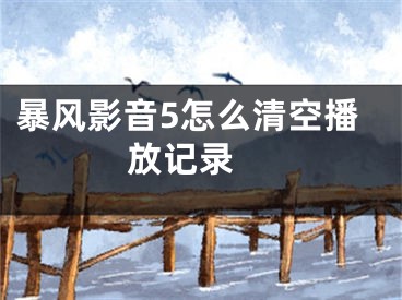 暴风影音5怎么清空播放记录 