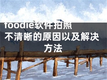 foodie软件拍照不清晰的原因以及解决方法