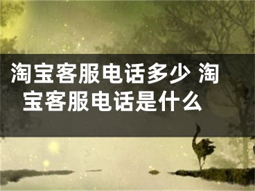 淘宝客服电话多少 淘宝客服电话是什么 