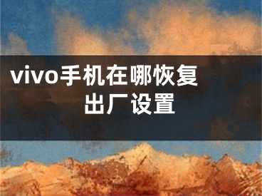 vivo手机在哪恢复出厂设置