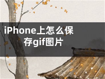 iPhone上怎么保存gif图片