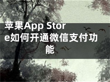 苹果App Store如何开通微信支付功能 