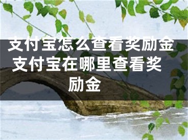 支付宝怎么查看奖励金 支付宝在哪里查看奖励金 