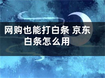 网购也能打白条 京东白条怎么用 