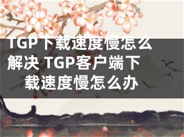 TGP下载速度慢怎么解决 TGP客户端下载速度慢怎么办 