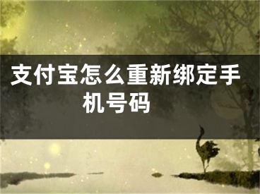 支付宝怎么重新绑定手机号码 