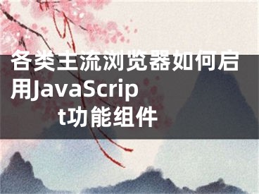 各类主流浏览器如何启用JavaScript功能组件 