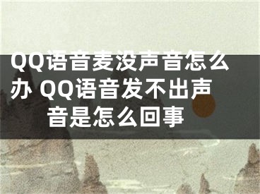 QQ语音麦没声音怎么办 QQ语音发不出声音是怎么回事 
