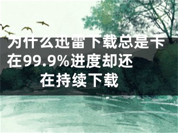 为什么迅雷下载总是卡在99.9%进度却还在持续下载 