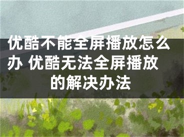 优酷不能全屏播放怎么办 优酷无法全屏播放的解决办法