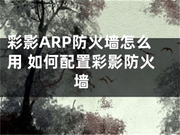 彩影ARP防火墙怎么用 如何配置彩影防火墙 