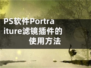 PS软件Portraiture滤镜插件的使用方法