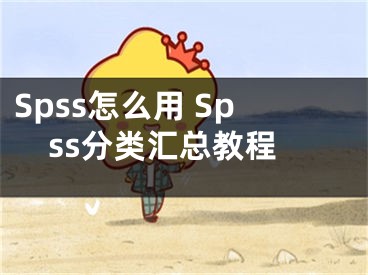 Spss怎么用 Spss分类汇总教程