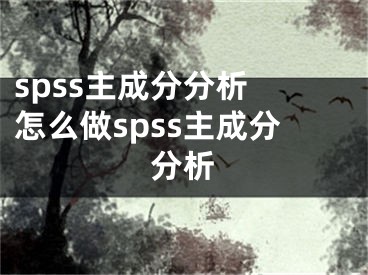 spss主成分分析 怎么做spss主成分分析