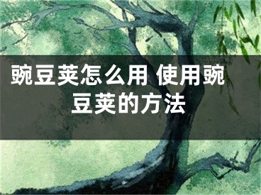 豌豆荚怎么用 使用豌豆荚的方法