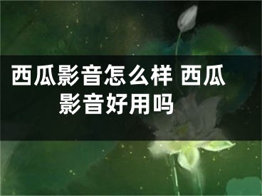 西瓜影音怎么样 西瓜影音好用吗 