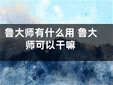 鲁大师有什么用 鲁大师可以干嘛 
