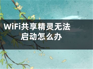 WiFi共享精灵无法启动怎么办 