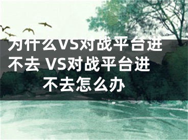 为什么VS对战平台进不去 VS对战平台进不去怎么办 