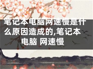 笔记本电脑网速慢是什么原因造成的,笔记本电脑 网速慢