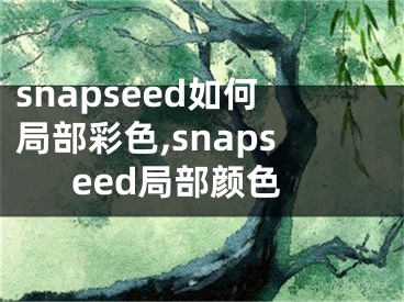 snapseed如何局部彩色,snapseed局部颜色