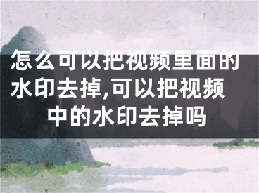 怎么可以把视频里面的水印去掉,可以把视频中的水印去掉吗