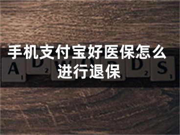 手机支付宝好医保怎么进行退保