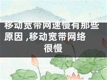 移动宽带网速慢有那些原因 ,移动宽带网络很慢