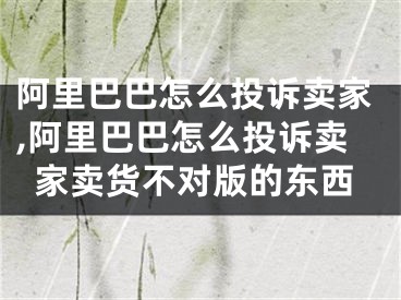 阿里巴巴怎么投诉卖家,阿里巴巴怎么投诉卖家卖货不对版的东西
