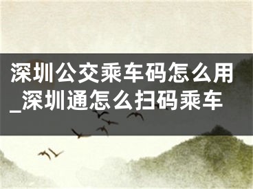深圳公交乘车码怎么用_深圳通怎么扫码乘车