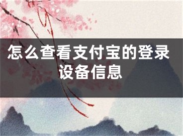 怎么查看支付宝的登录设备信息