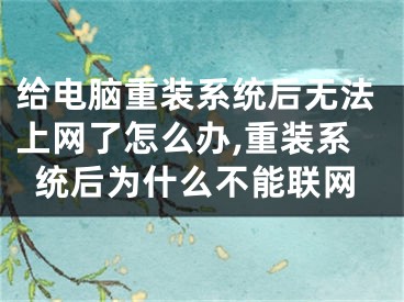 给电脑重装系统后无法上网了怎么办,重装系统后为什么不能联网