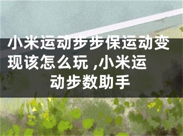 小米运动步步保运动变现该怎么玩 ,小米运动步数助手