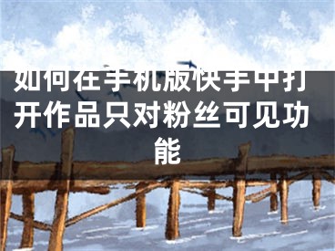 如何在手机版快手中打开作品只对粉丝可见功能