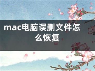 mac电脑误删文件怎么恢复