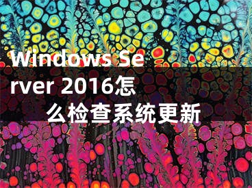 Windows Server 2016怎么检查系统更新