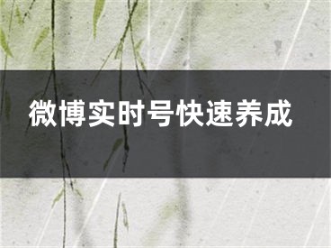 微博实时号快速养成