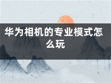 华为相机的专业模式怎么玩