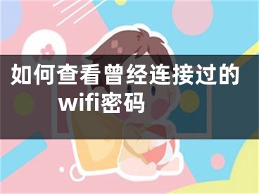 如何查看曾经连接过的wifi密码